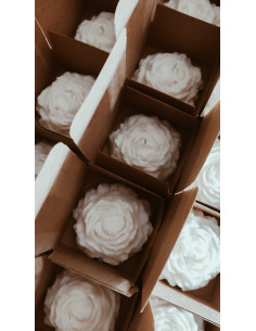 Velas Peonia con caja 2