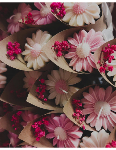 Conos velas Margaritas Conos velas Margaritas